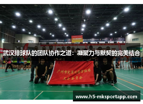 武汉排球队的团队协作之道：凝聚力与默契的完美结合