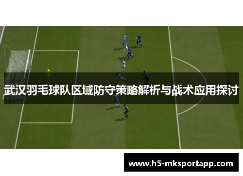武汉羽毛球队区域防守策略解析与战术应用探讨