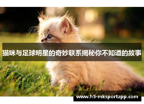 猫咪与足球明星的奇妙联系揭秘你不知道的故事